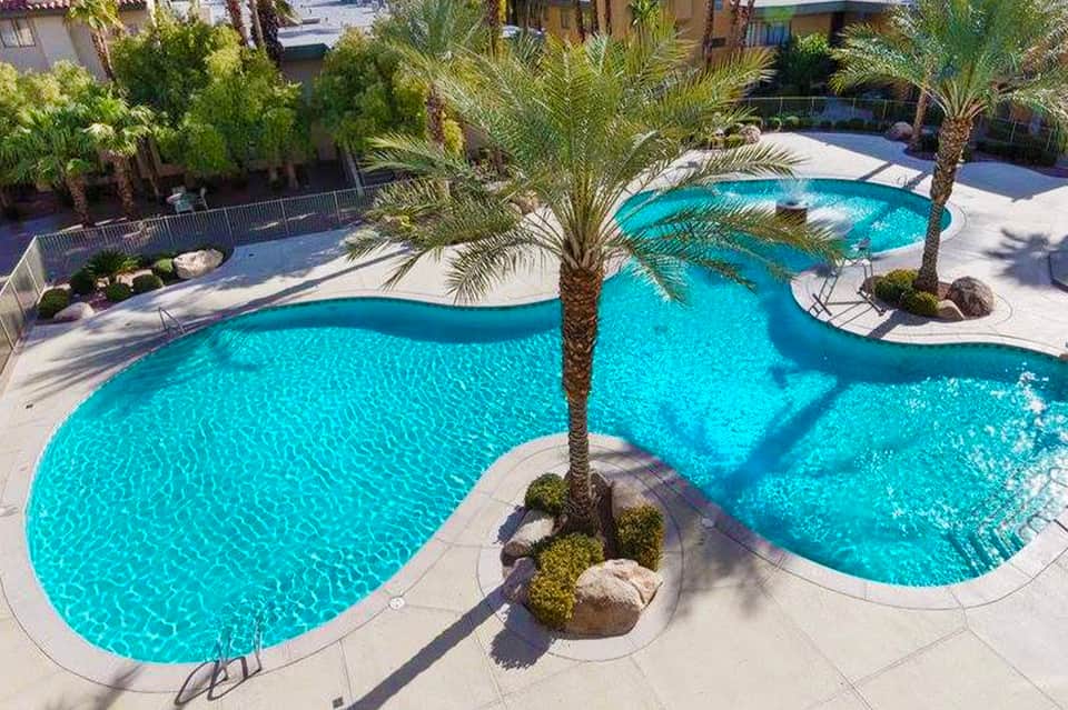 Aerial view of curved turquoise resort pool with palm tree in center and white concrete decking