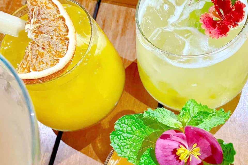 Two refreshing citrus cocktails garnished with grapefruit slices and flowers on wood table