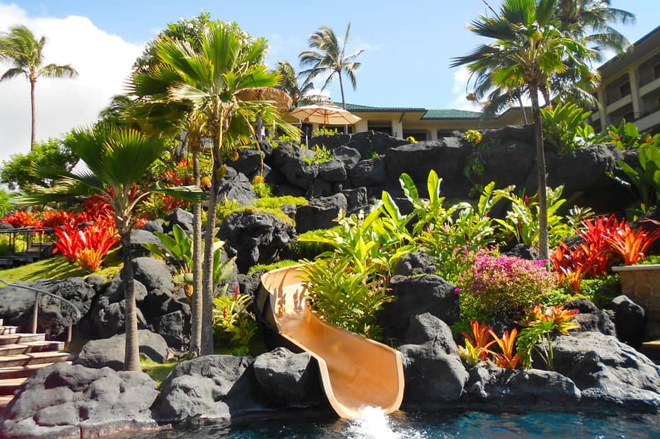 Waterslide in tropical resort pool area with black lava rocks and colorful flowers