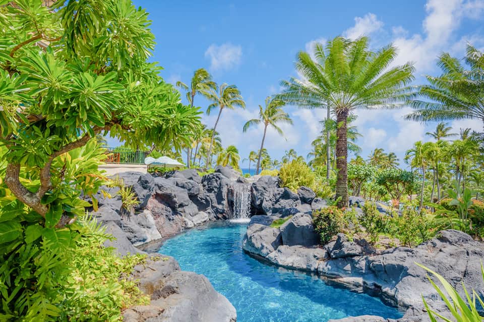 Tropical resort lagoon with blue water, black rock formations, waterfall, and palm trees under blue sky