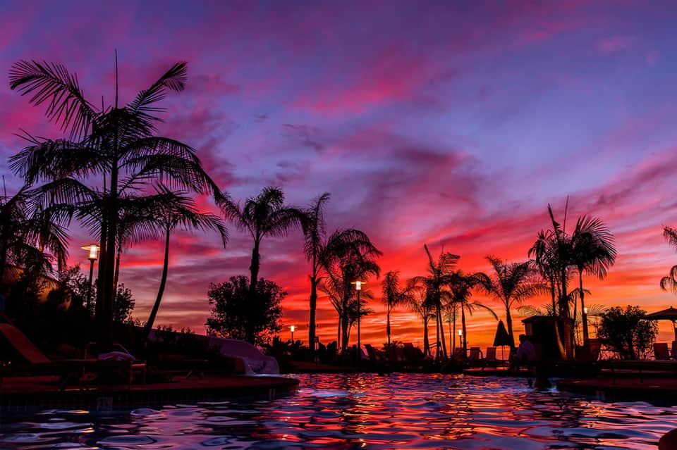 Stunning sunset over tropical pool with palm trees silhouetted against pink and orange sky
