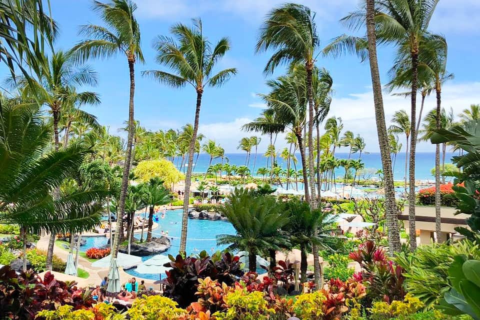 Tropical resort garden with palm trees, colorful flowers, and turquoise pool overlooking the ocean