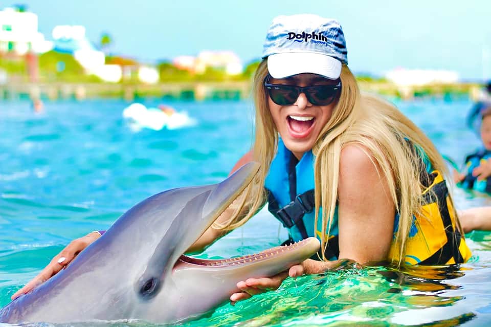 Person interacting with dolphin in shallow pool water during marine experience
