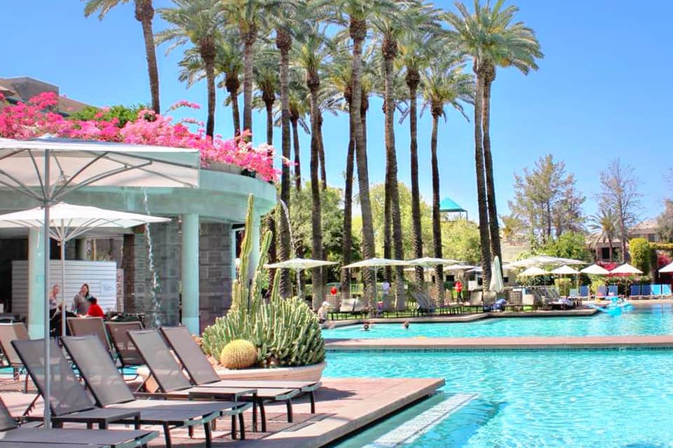 Luxury resort pool with tall palm trees, pink bougainvillea flowers, lounge chairs, and cabana on sunny day