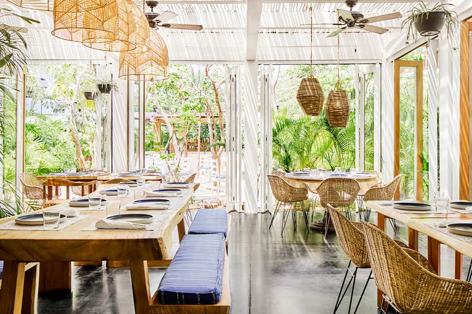 Bright dining area with wooden tables, wicker chairs, hanging planters, and garden views