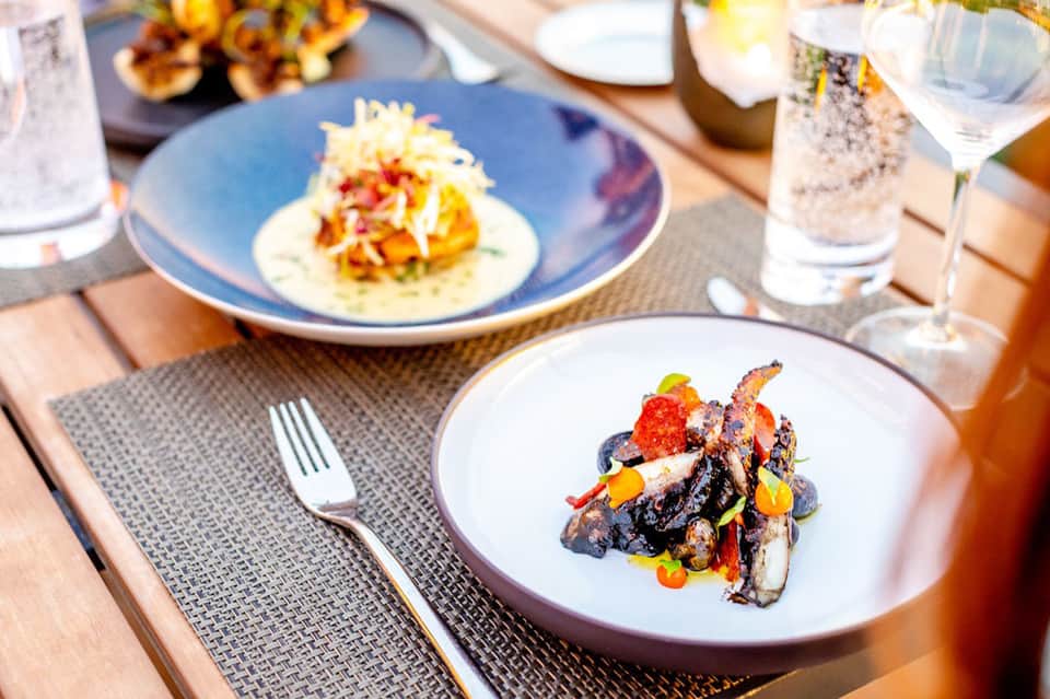 Gourmet plated dishes with colorful garnishes and glassware on table setting