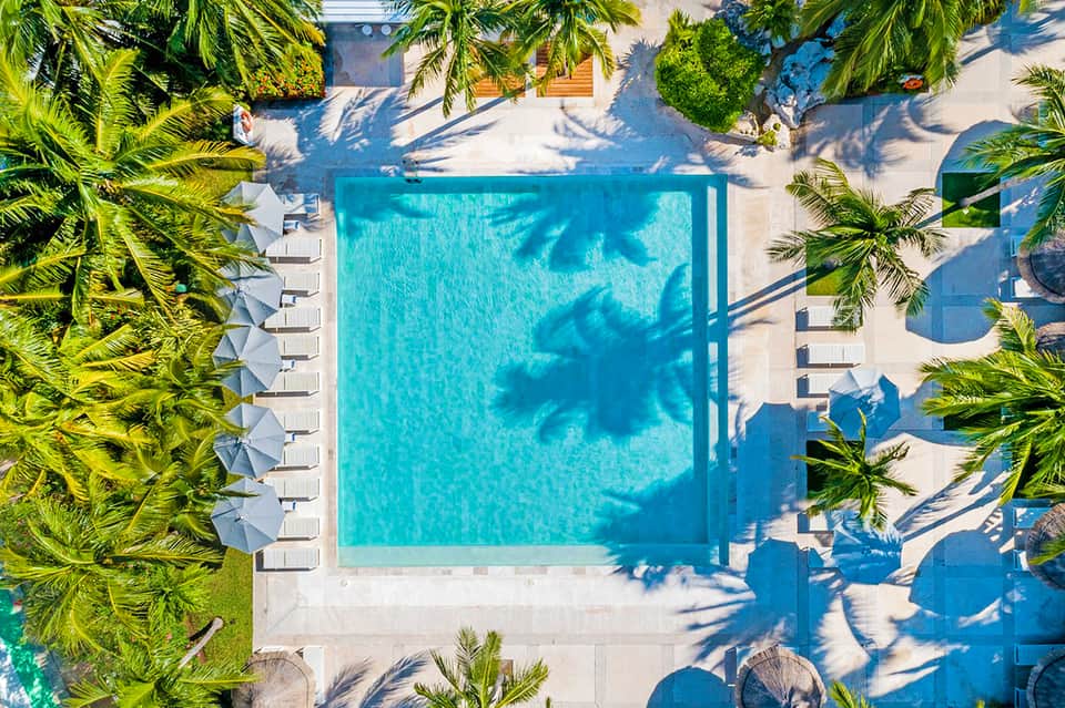 Overhead view of rectangular pool surrounded by palm trees and white lounge chairs