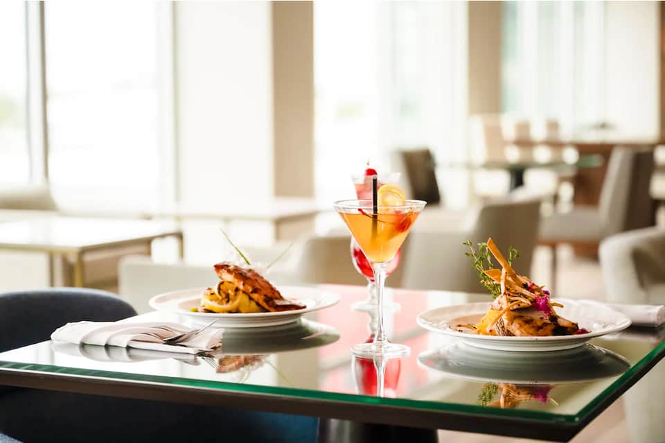 Gourmet plated dishes and cocktails on a glass table in bright modern dining space