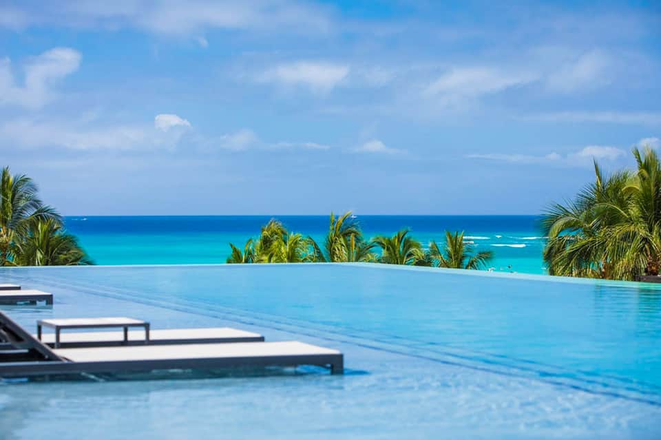 Infinity pool overlooking turquoise ocean with palm trees and white loungers