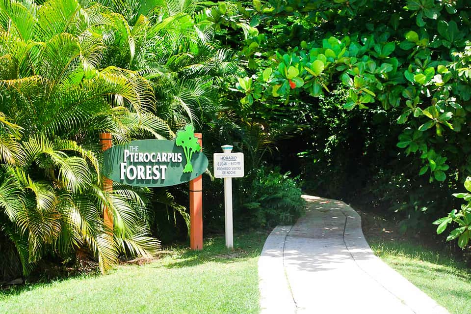 Pterocarpus Forest entrance sign with lush tropical vegetation along pathway