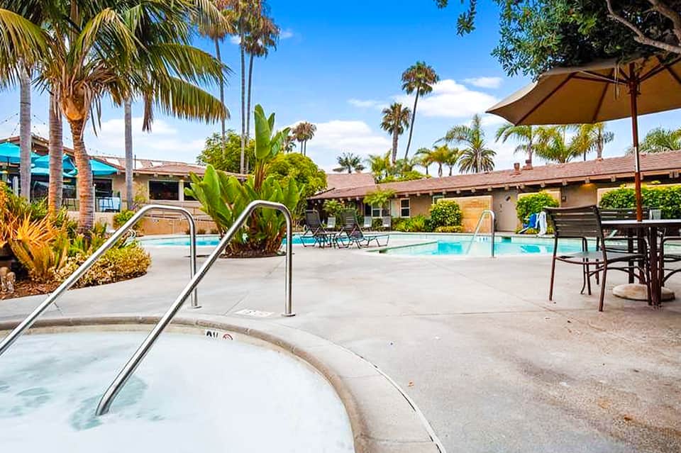 Resort pool area with spa hot tub, palm trees, and lounge seating