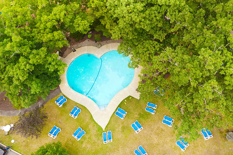 Overhead view of heart-shaped pool surrounded by green trees and blue lounge chairs