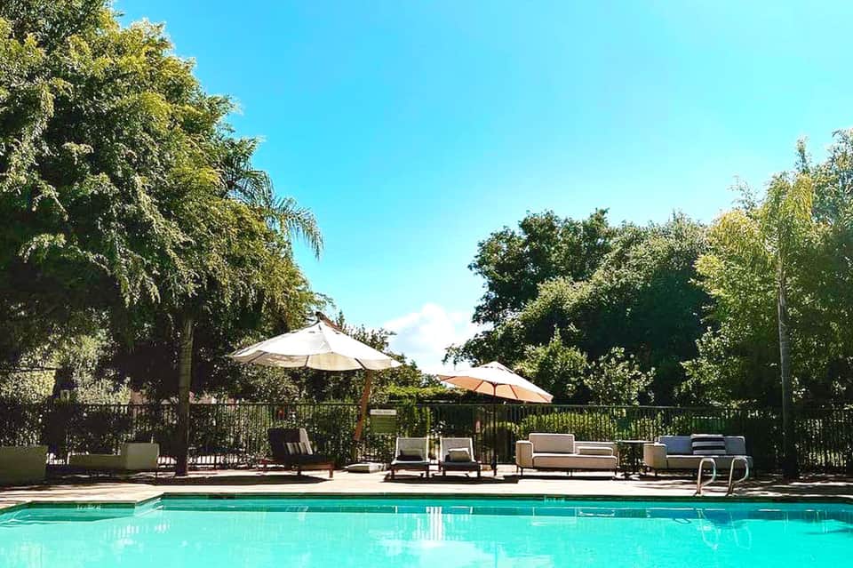 Resort pool surrounded by tall trees with umbrellas and lounge chairs under clear blue sky