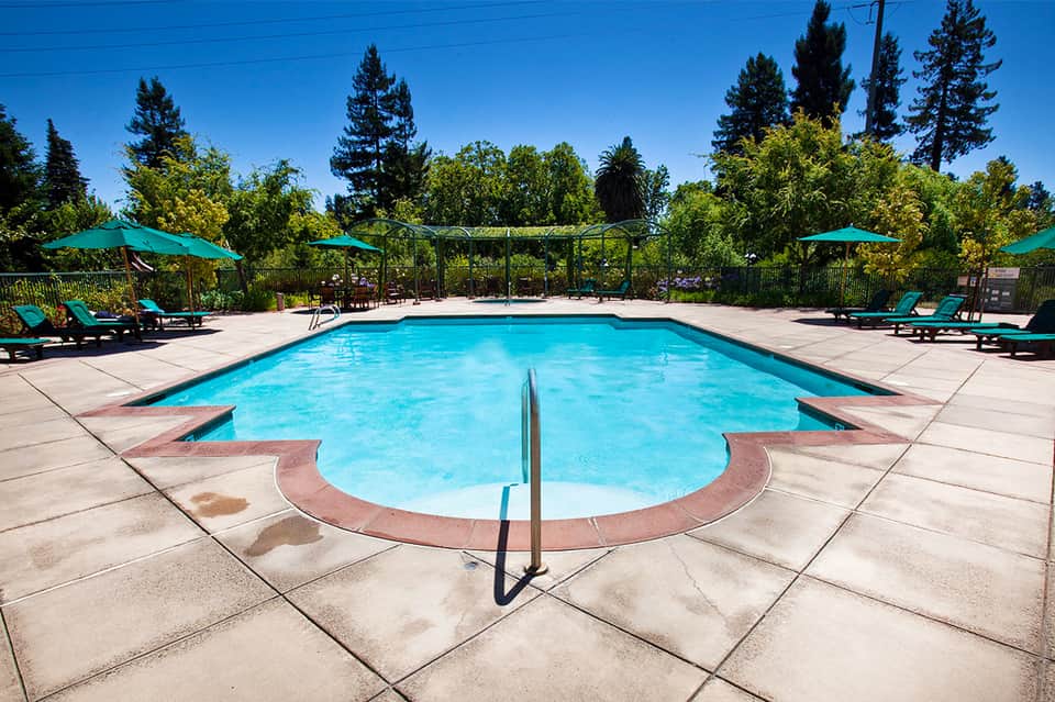 Curved swimming pool surrounded by teal lounge chairs, umbrellas, palm trees, and manicured landscaping under clear sky