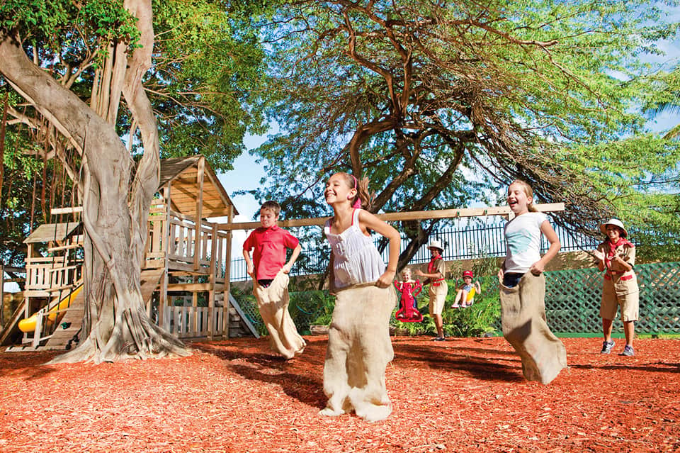 Children playing around large tree with wooden playground structure and climbing equipment
