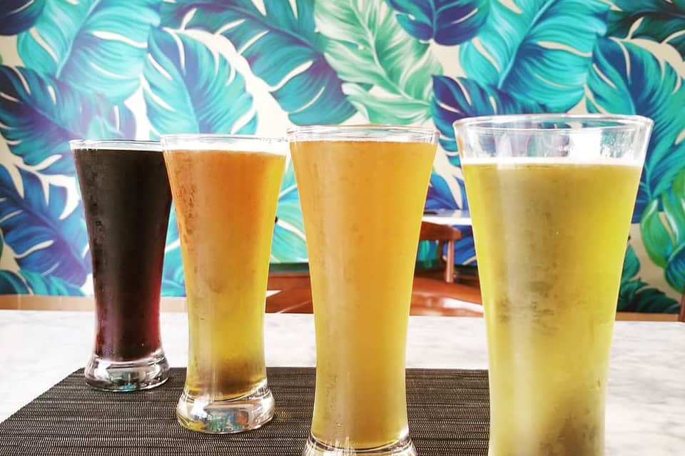 Four glasses of beer and beverages in varying colors against tropical leaf-patterned backdrop
