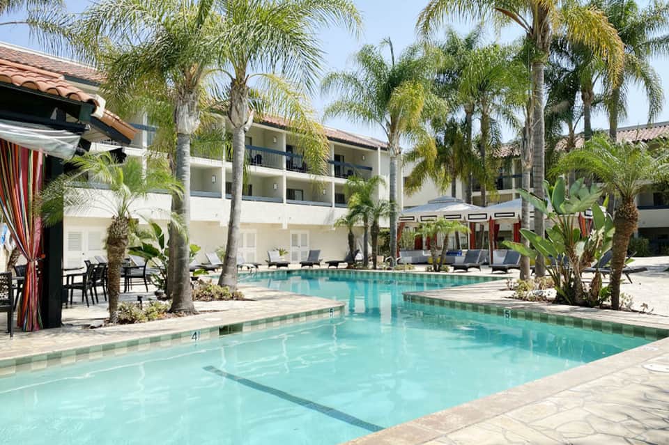 Palm-lined resort pool with white loungers and multi-story hotel