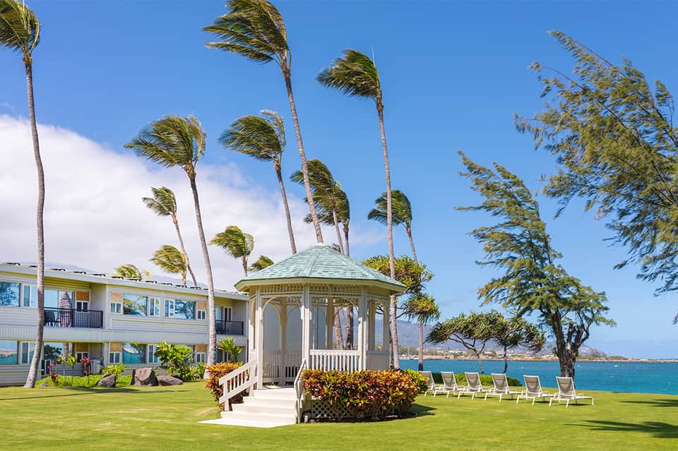 Beachfront resort gazebo on manicured lawn with palm trees swaying in wind and ocean in background