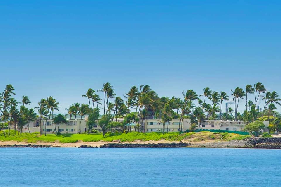 Beachfront residential buildings with palm trees along rocky coastline and clear blue water
