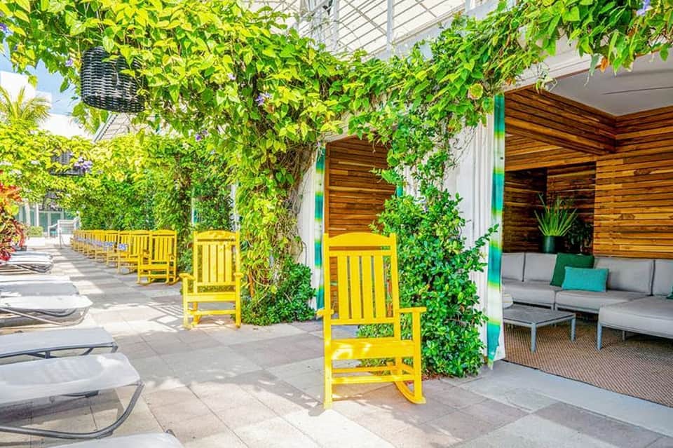 Outdoor terrace with yellow rocking chairs covered by green ivy pergola and wooden lounge pavilion