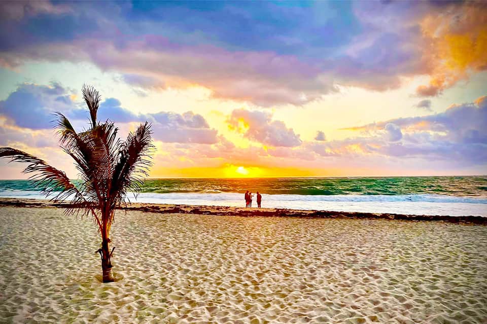 Sunset beach scene with palm tree, colorful sky, ocean waves, and silhouetted figures