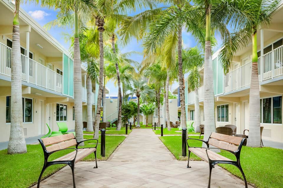 Palm tree-lined courtyard pathway with contemporary resort buildings