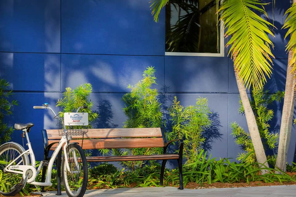 White bicycle parked against blue wall with green plants and wooden bench
