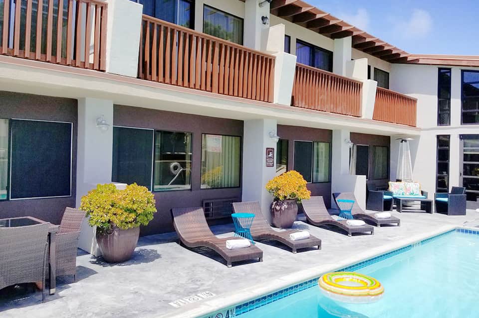 Modern poolside with lounge chairs, yellow flowering plants in pots, and waterfront views
