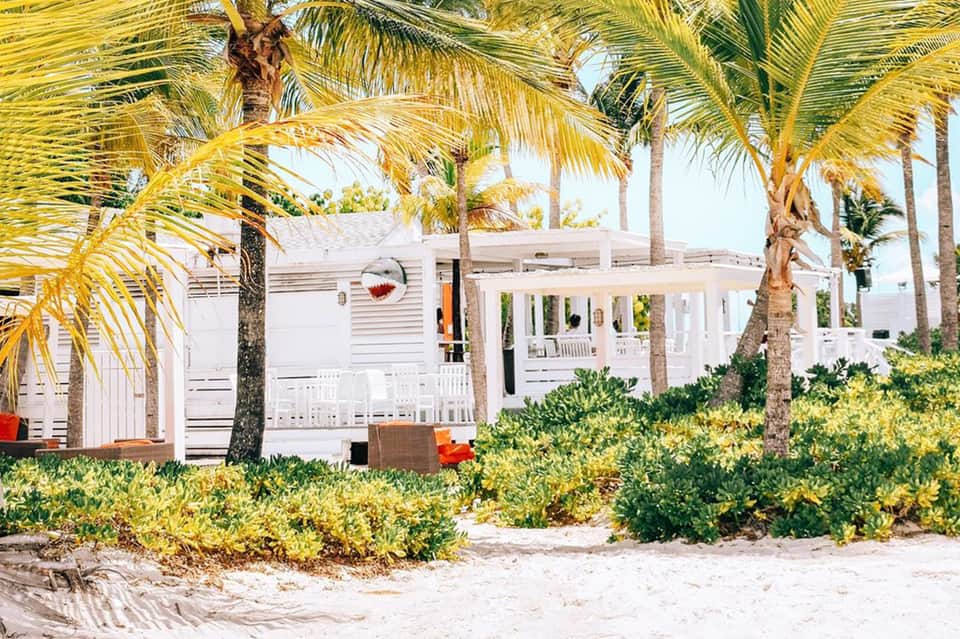 Beachfront vacation rental with white modern architecture and palm trees on sandy beach