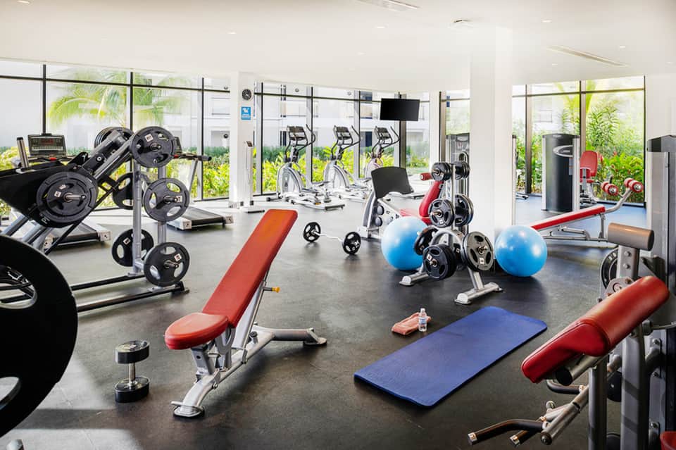 Modern fitness gym with cardio equipment, weights, exercise balls, and large windows overlooking gardens