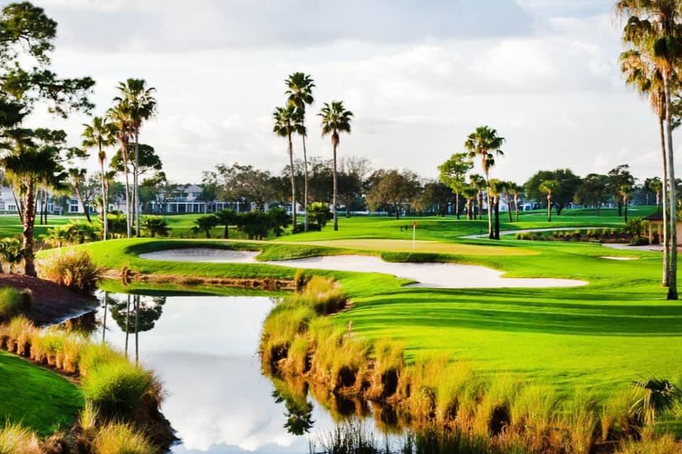 Golf course with water hazard, palm trees, manicured greens, residential homes in background
