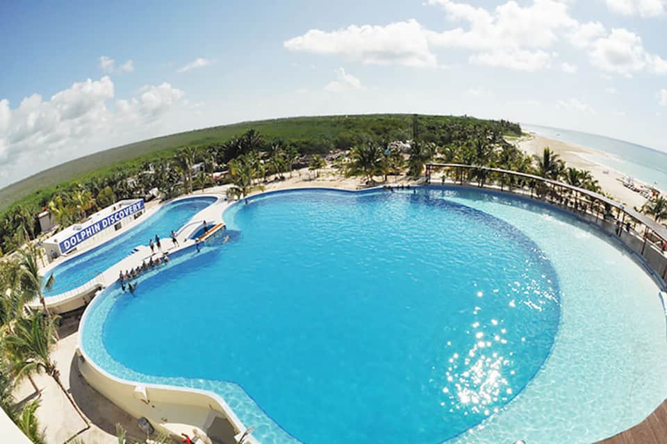 Large dolphin-shaped saltwater pool overlooking white sand beach and tropical vegetation