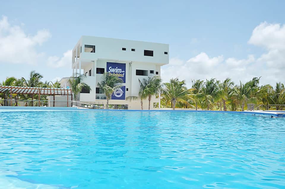 White modern building with 'Swim Dolphins' sign overlooking a bright blue pool surrounded by palm trees