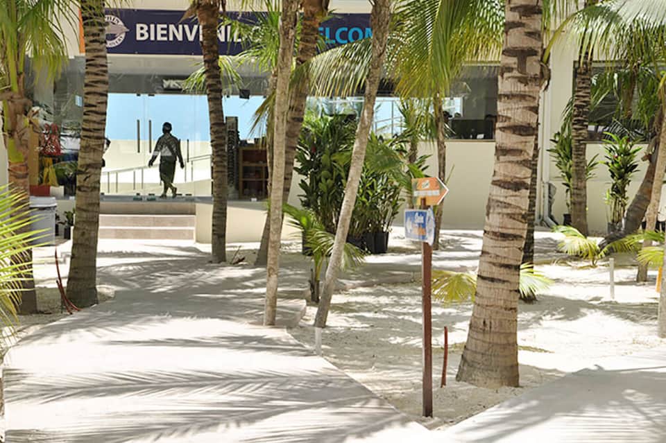 Palm-lined beach promenade with modern buildings and sandy walkway