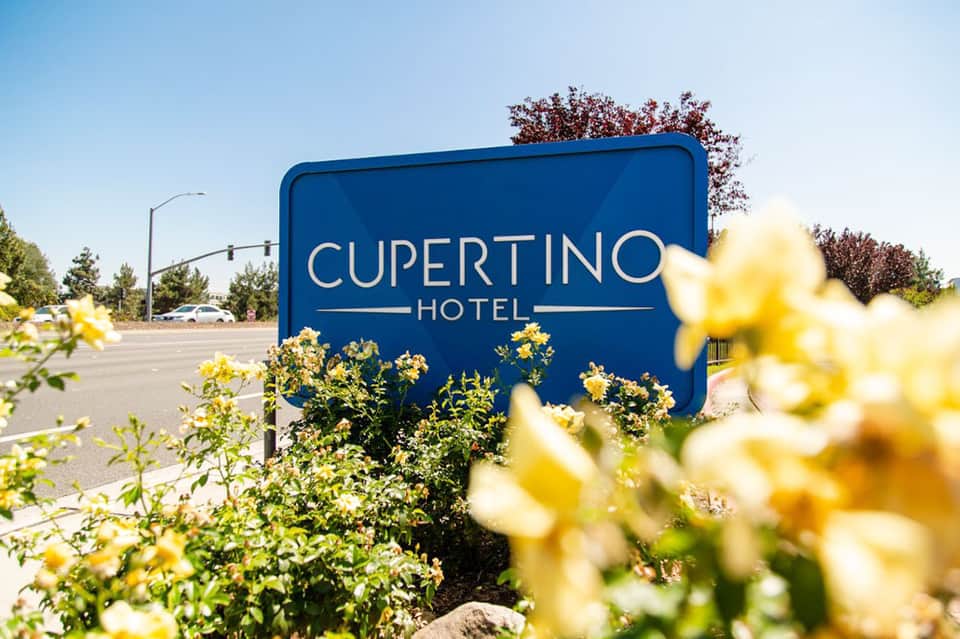 Cupertino Hotel blue sign with yellow flowering plants in foreground along roadside