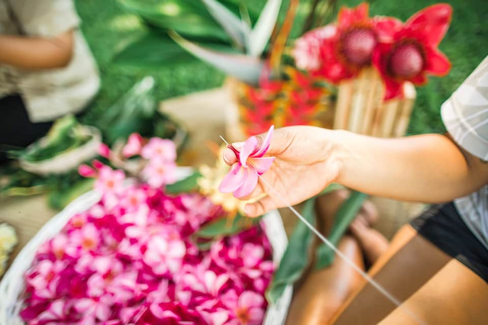 Hand holding pink tropical flower with red and pink flowers blurred in background at resort garden