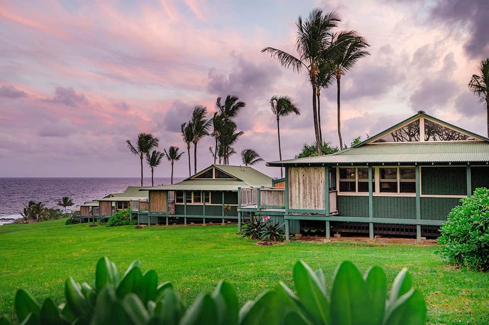 Beachfront cottage-style homes with green trim and palm trees at sunset over the ocean