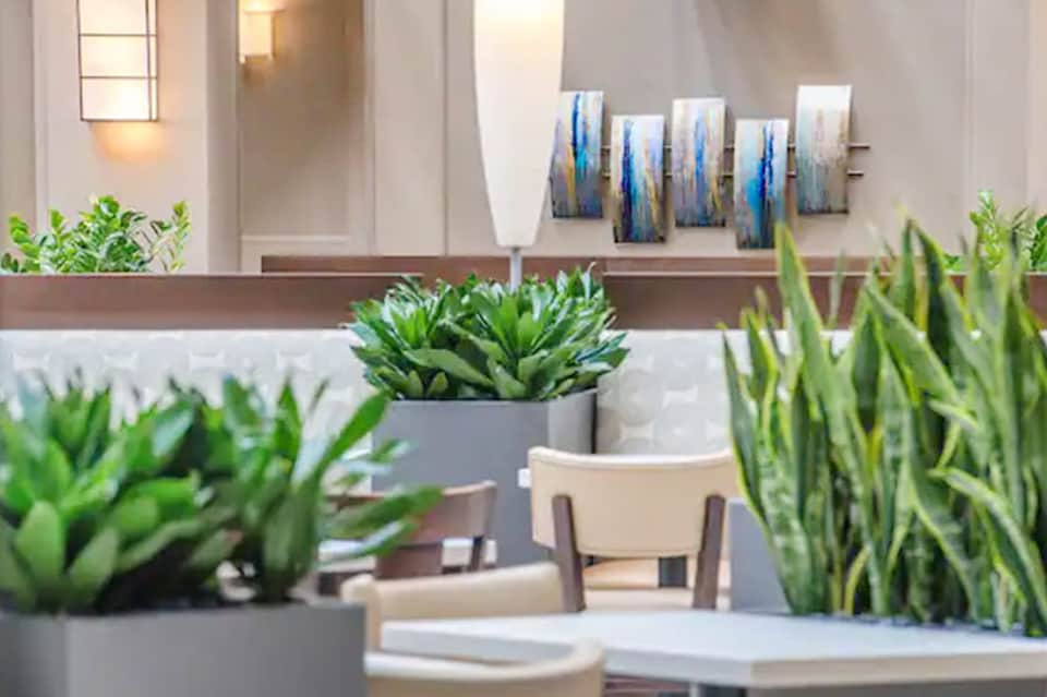 Minimalist spa reception area with potted succulents, neutral tones, and modern art