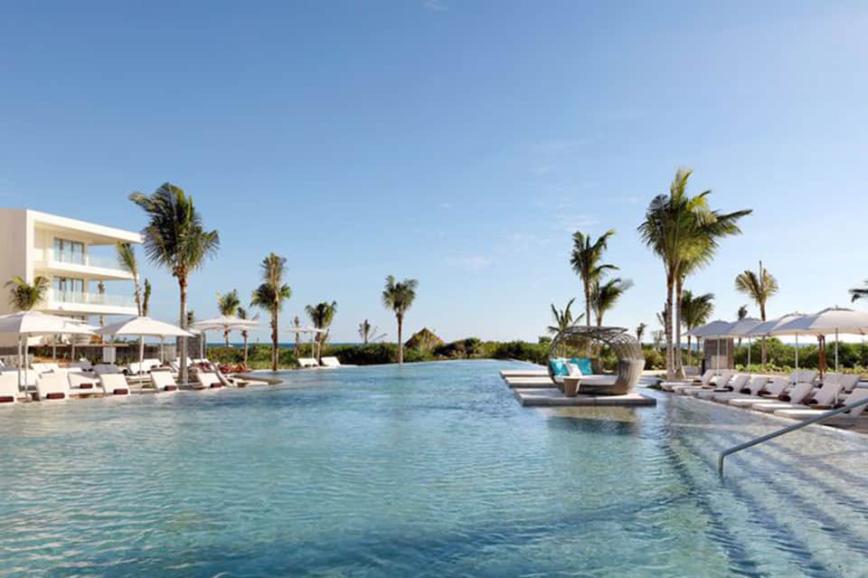 Large resort infinity pool with palm trees, loungers, and ocean horizon view