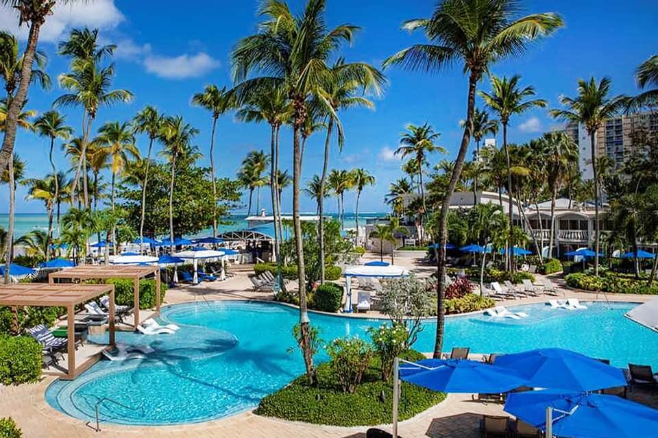 Tropical beachfront resort pool with palm trees, turquoise water and ocean view under blue sky