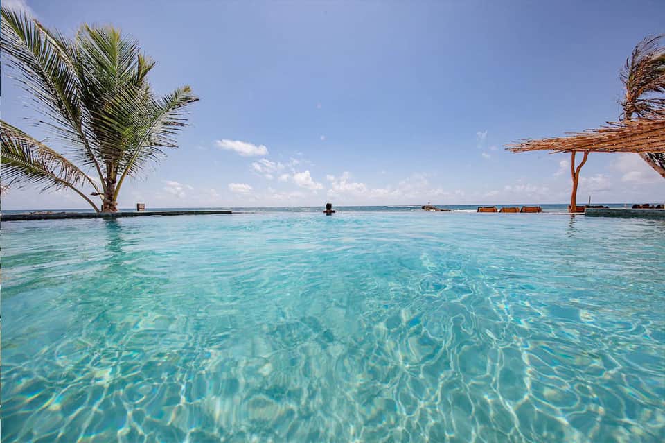 Crystal clear turquoise water with palm tree and wooden beam at tropical resort