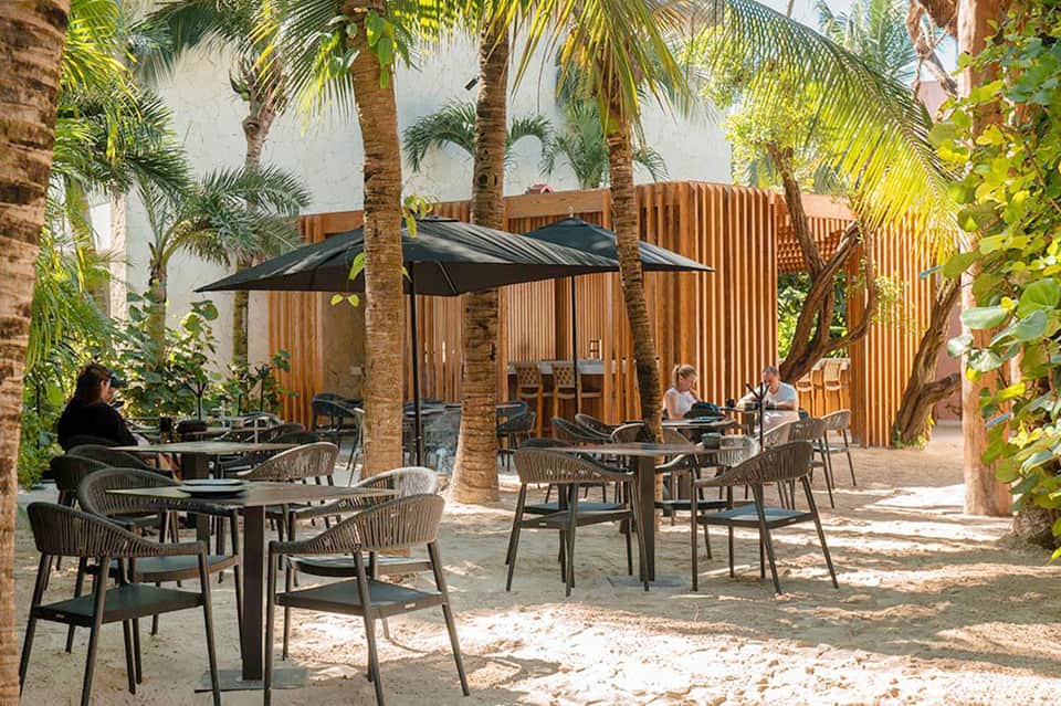 Outdoor courtyard dining area with palm trees, wooden pergolas, and black umbrellas