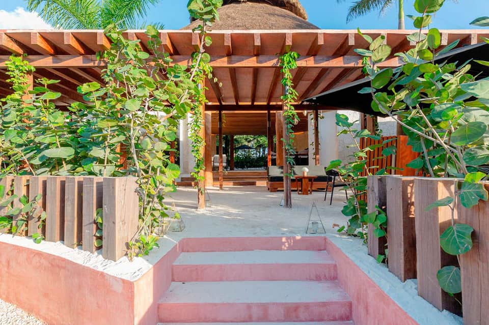 Tropical resort pathway with pink steps, wooden pergola, lush vegetation, and palm trees