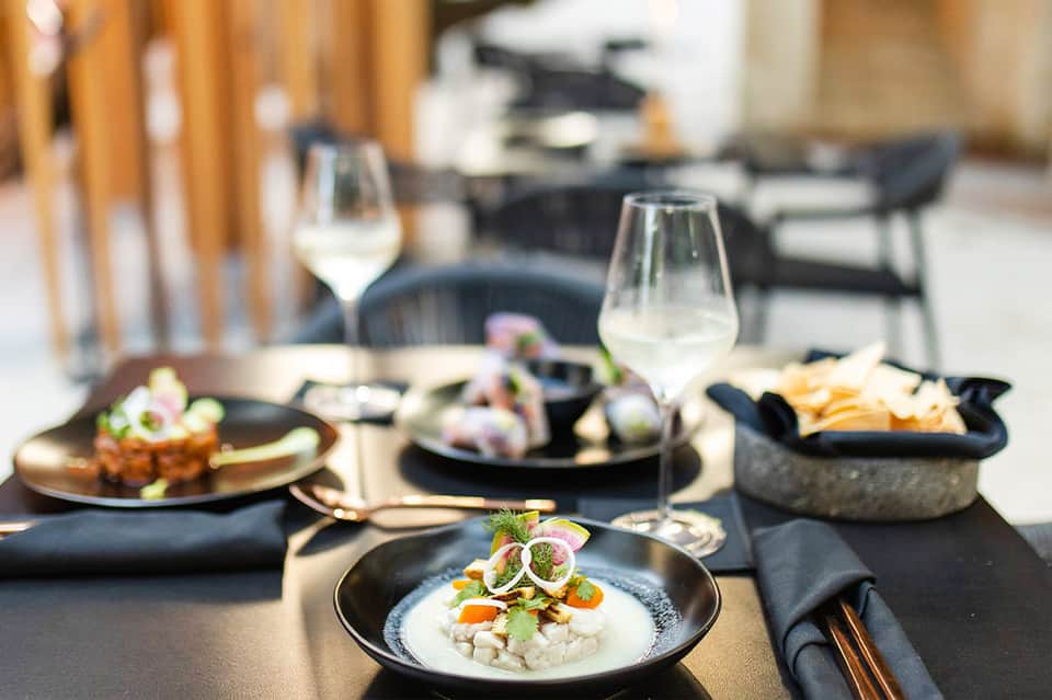 Fine dining table setting with gourmet dishes, wine glasses, and elegantly plated appetizers