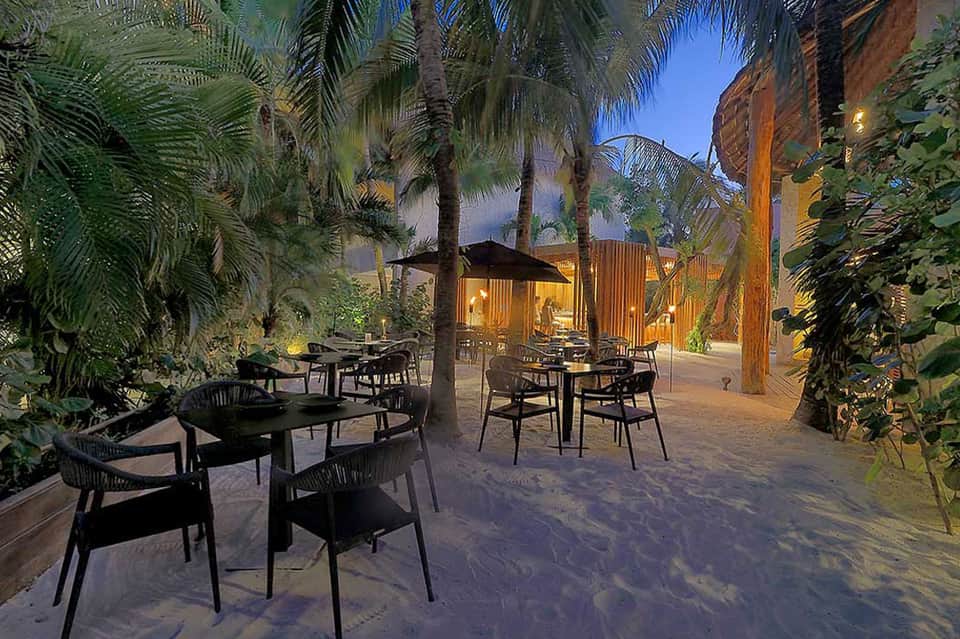 Evening beachside dining area with black chairs, palm trees, and illuminated structures