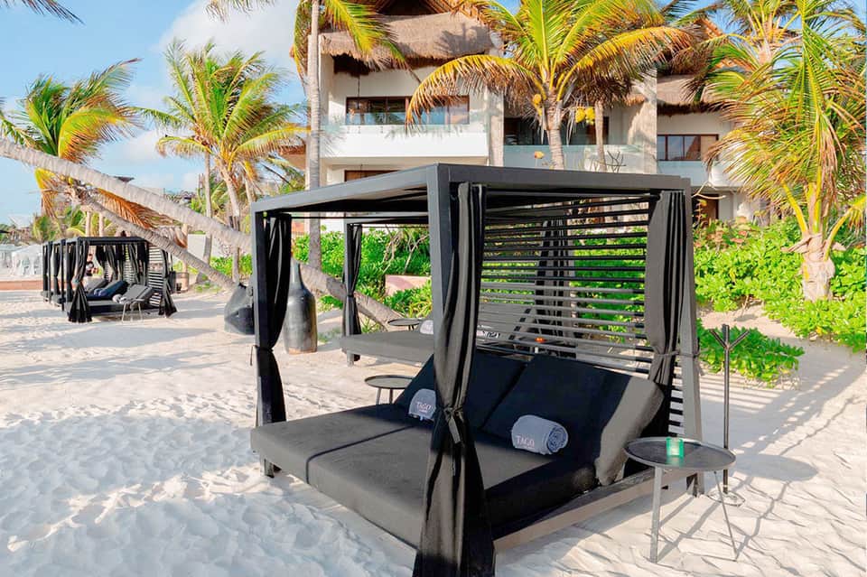 Beach cabanas with black canopy frames on sandy shore with palm trees