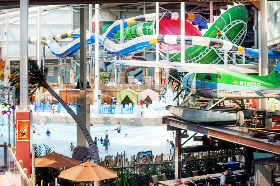 Indoor water park with colorful slide tubes, tropical plants, and guests swimming below