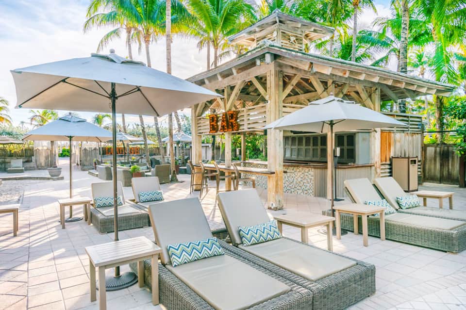 Beachfront bar and lounge area with umbrellas, loungers, and palm trees