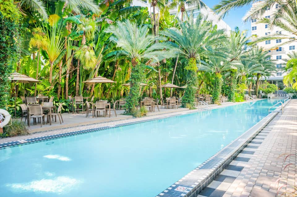 Resort pool lined with palm trees, umbrellas, and seating area next to hotel building