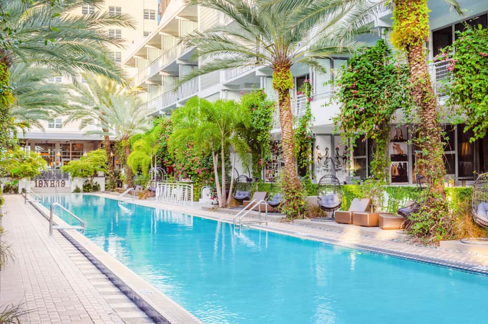 Tropical pool courtyard surrounded by palm trees, lush vegetation, and modern hotel building